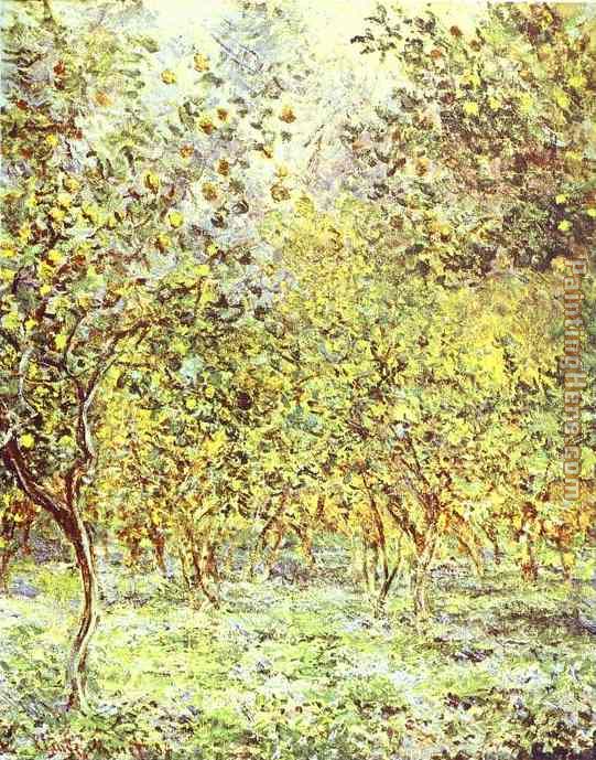 Lemon-Trees Bordighera painting - Claude Monet Lemon-Trees Bordighera art painting